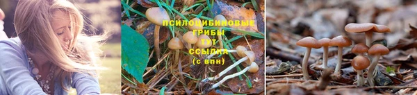 бутират Михайловск