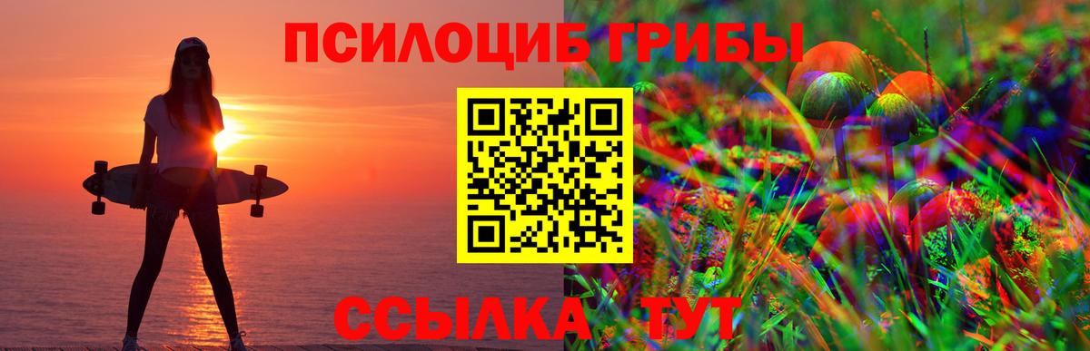 Галлюциногенные грибы Cubensis Кореновск